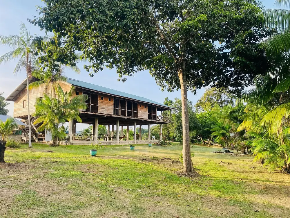 Houten lodges op het gazon aan het water